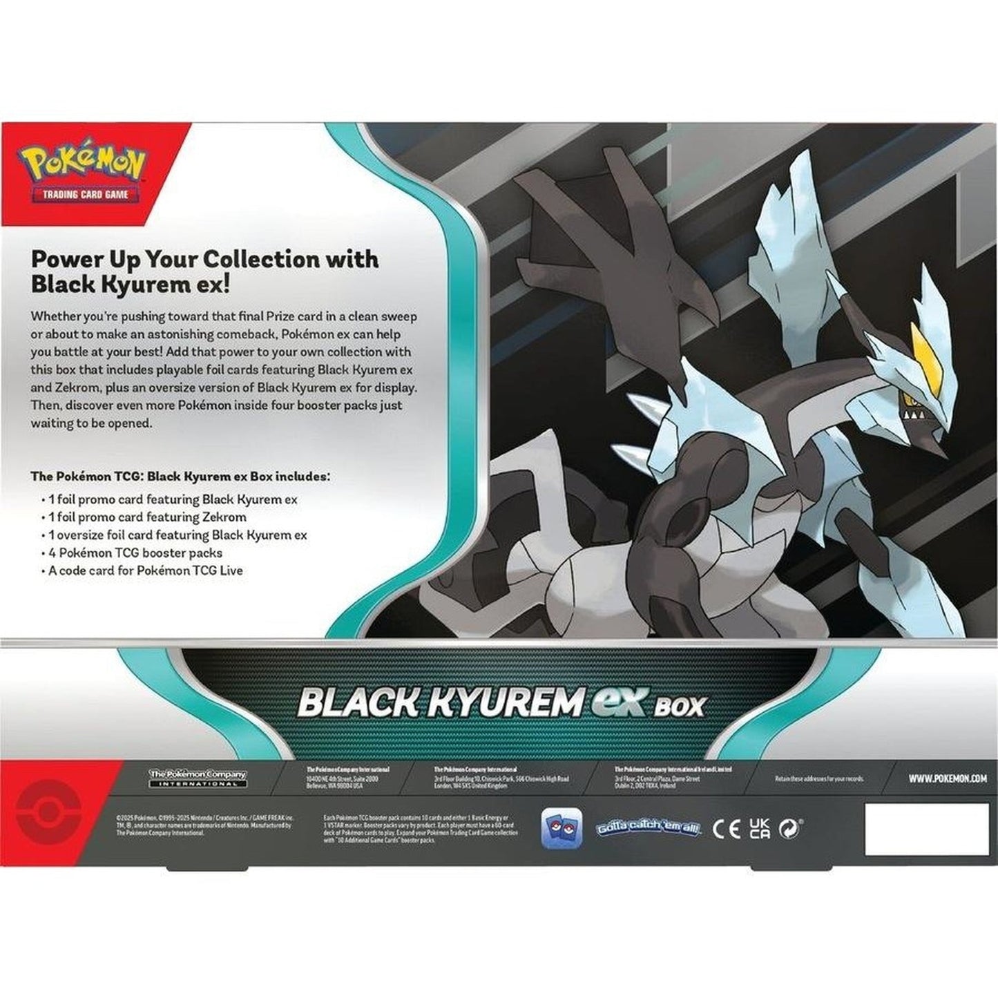 
                  
                    Pokemon TCG: Black Kyurem Ex Box Exclusive
                  
                
