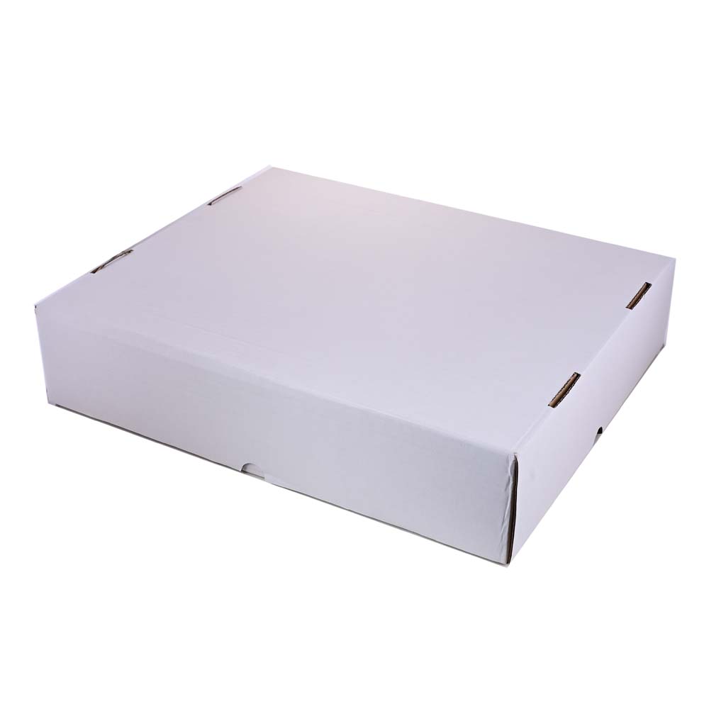 
                  
                    GUARDIAN SHIELD 5000CT Storage Box
                  
                