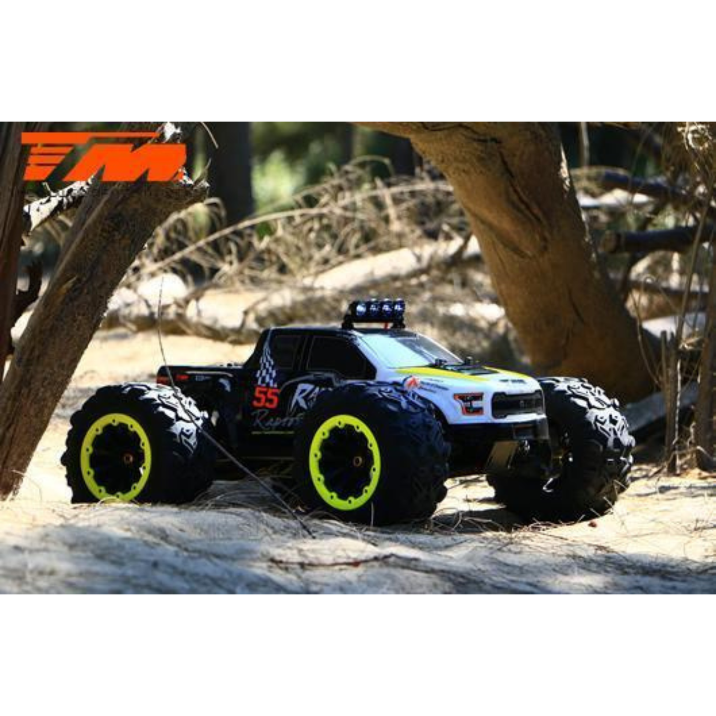 
                  
                    Team Magic E6 Raptor EP Monster Truck 6S Yellow
                  
                