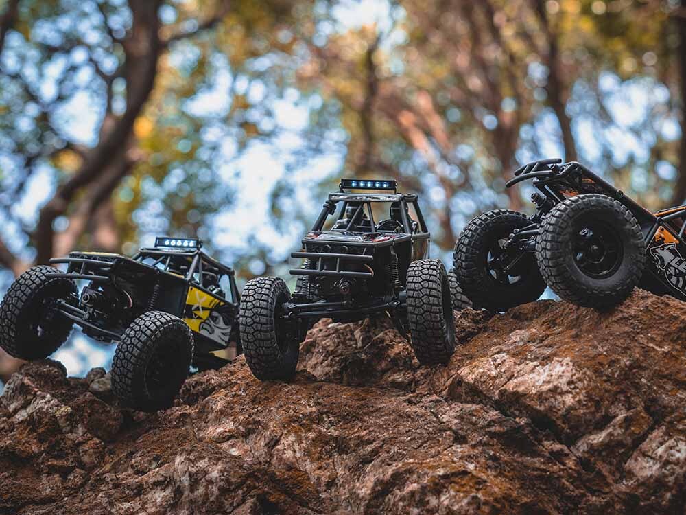 
                  
                    FMS 1:24 FCX24 Lemur RTR Green
                  
                