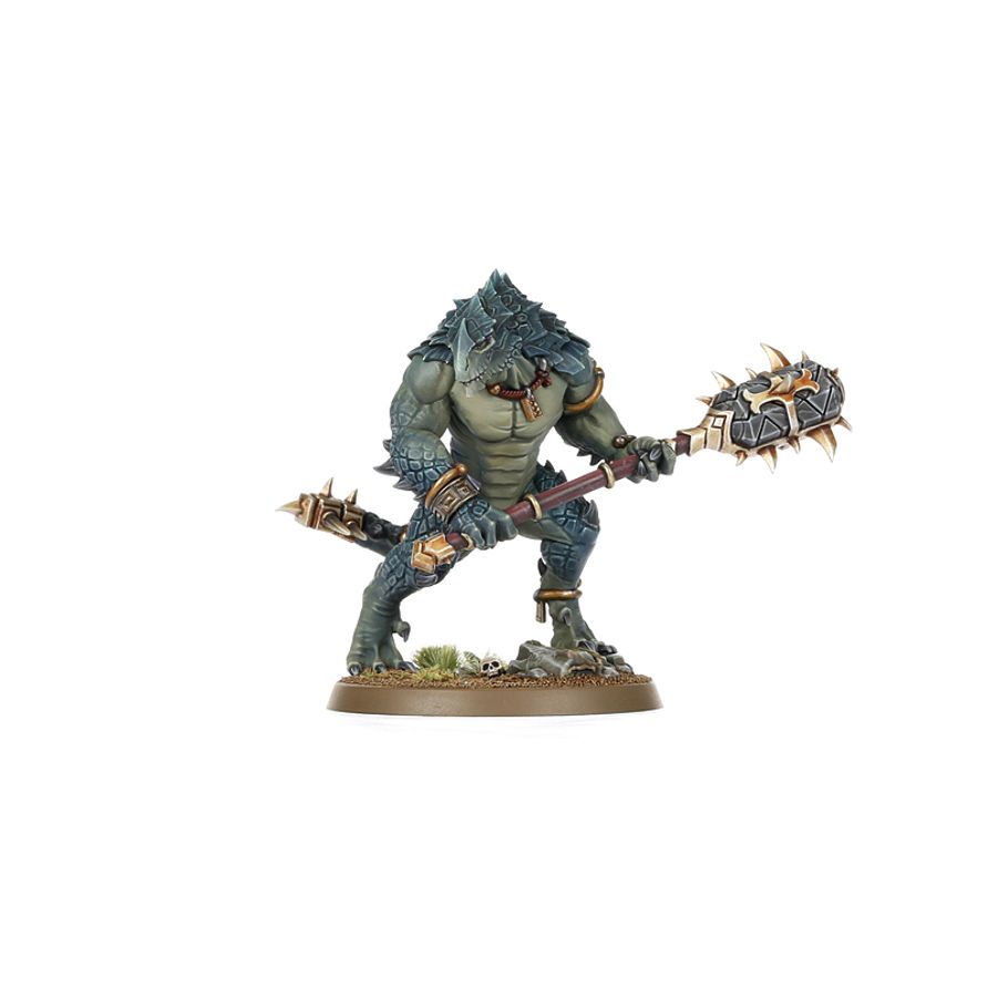 
                  
                    Warhammer Age of Sigmar - Spearhead: Seraphon
                  
                