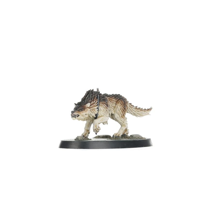 
                  
                    Kill Team: Wolf Scouts
                  
                