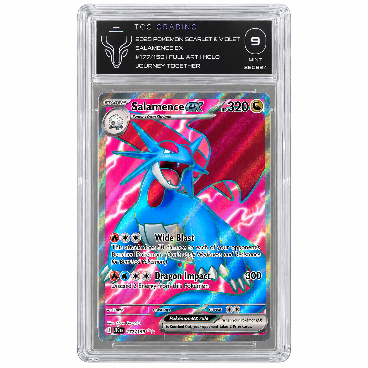 TCG Grading 9 Salamence ex 177/159 Full Art Holo Journey Together Pokémon Card